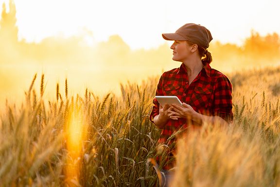 Service Provider Chariton Valley Discovers Network Migration Solution - WWT