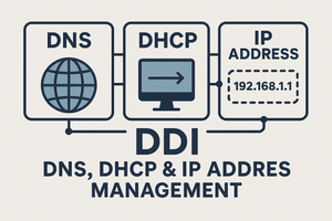 Connected boxes that say DNS, DHCP and IP Address. They are connected by DDI