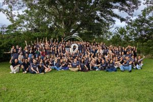 Large group of employees gathered on a grassy lawn beneath a towering tree, posing together outdoors with raised hands during a team event.