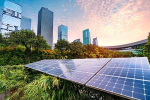 Solar panels surrounded by lush greenery with a modern city skyline in the background at sunset.