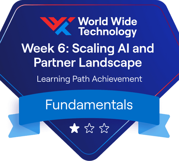 Week 6: Scaling AI and partner landscape Learning Path