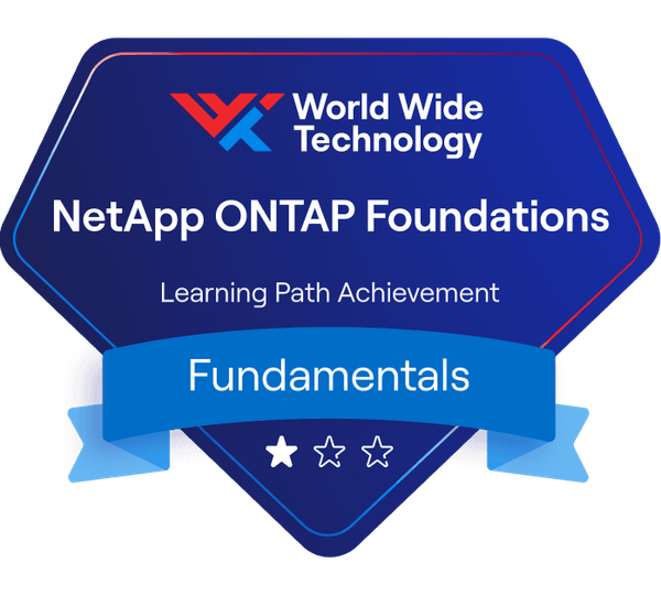 NetApp ONTAP Foundations Learning Path