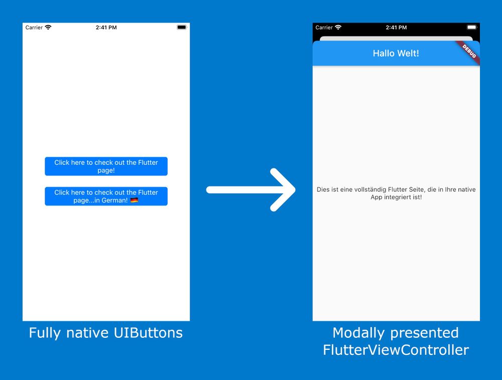 Rebuilding a Native Mobile App in Flutter From the Inside Out: Part III ...