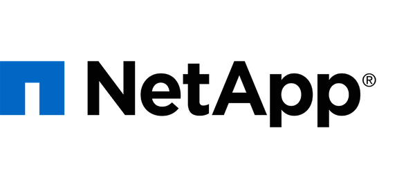 Logo for NetApp Star Partner