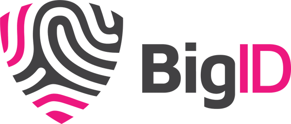 Logo for BigID