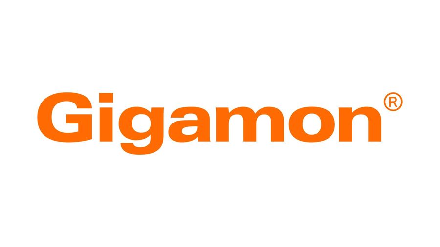 Gigamon 